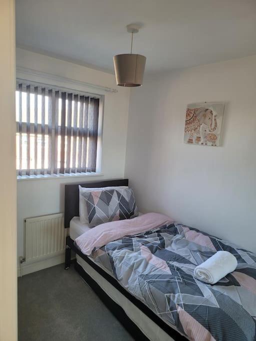 2 Bedroom End Of Terrace House Wellington  Extérieur photo